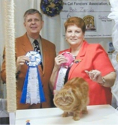 MinusDe Tails Versace